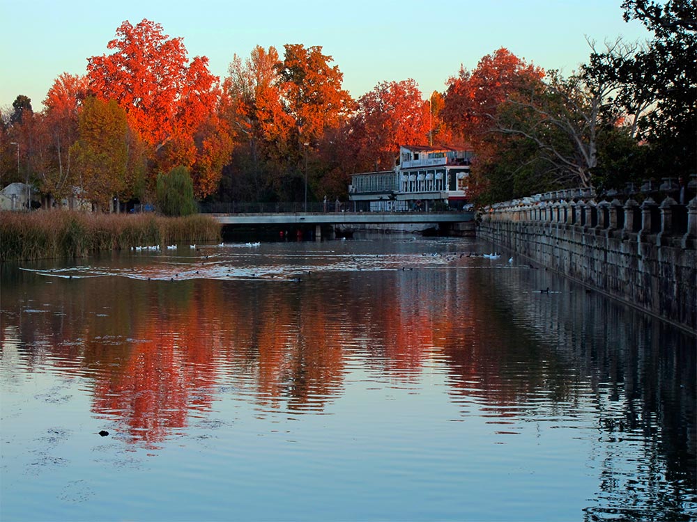 El río Tajo desde el Jardín del Príncipe