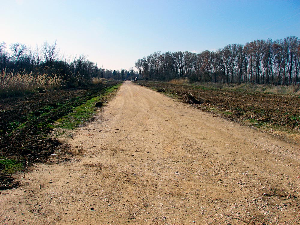 Paseo de la Romana en Aranjuez